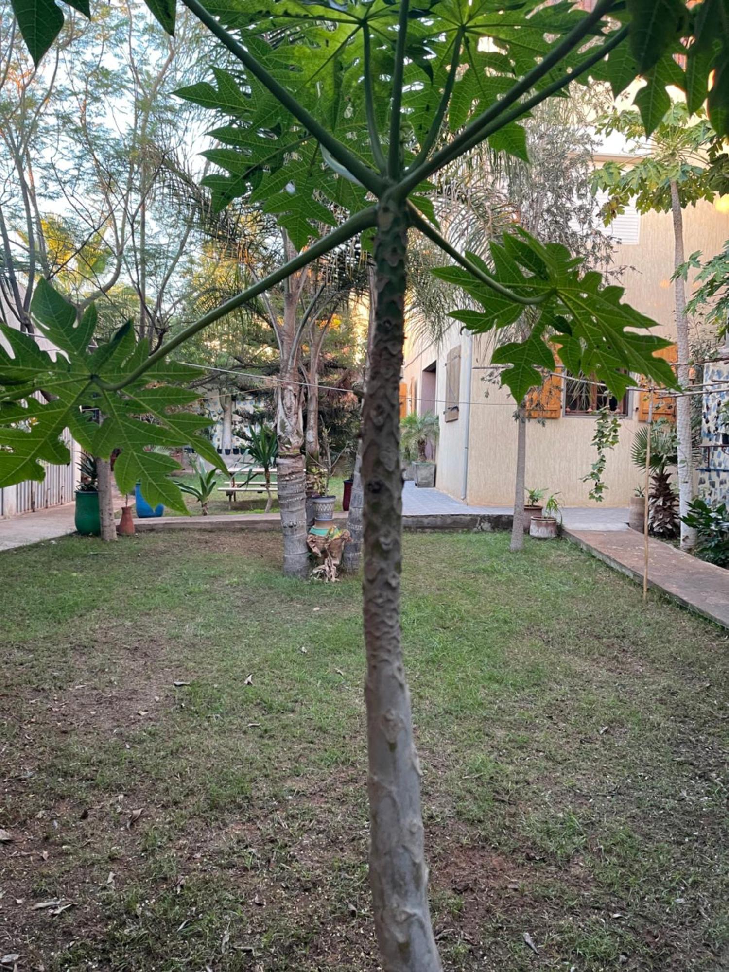 Riad Targante Takate 1 Sidi Bibi Extérieur photo